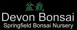 Devon Bonsai, Cheriton Bishop opening hours