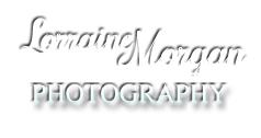 Lorraine Morgan Photography in Portsmouth (Fratton) - Opening Hours