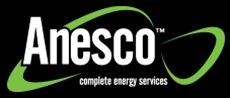 Anesco Limited, Reading opening hours