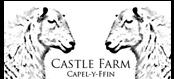 Castle Farm Capel-Y-Ffin SHEPTON MALLET, Capel Y Ffin opening hours