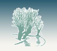 Greenwillows Associates Ltd Warboys, opening hours