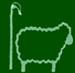 Original Cumbrian Wool, Broughton-in-Furness opening hours