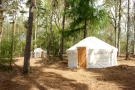Meadow Yurts, Townshend opening hours