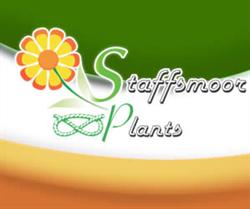 Staffsmoor Plants, Stoke-on-Trent opening hours