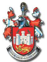 Carmarthen Town Council, opening hours