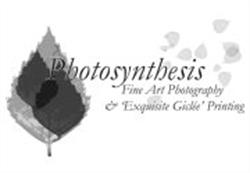 Photosynthesis Fine Art Photography Limited, Lancaster opening hours