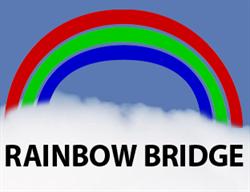 Rainbow Bridge Ltd, Rotherham opening hours