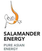 Salamander Energy in London (Hampstead) - Opening Hours