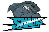 Solway Sharks Ice Hockey Club, Dumfries opening hours