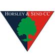 Horsley & Send Cricket Club, West Horsley opening hours
