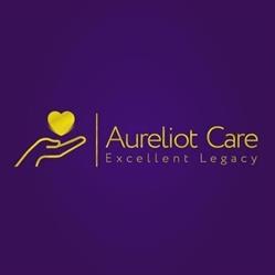Aureliot Care Recruitment Agency Ltd, Andover opening hours