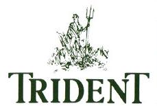 Trident Gates, Endon opening hours