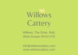 Willows Cattery, Ifold opening hours