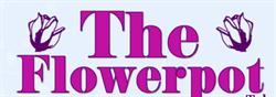 The Flowerpot in Edinburgh (Abbeyhill) - Opening Hours