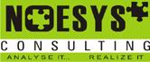 Noesys Consulting Ltd, Milton Keynes opening hours