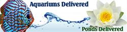Bow Aquatics, opening hours