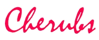 Cherubs Kindergarten Ltd, Farnborough opening hours