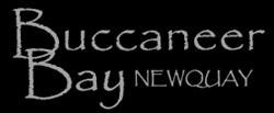 Tunnels Through Time, Newquay opening hours