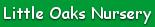 Little Oaks Pre-School, Folkestone opening hours