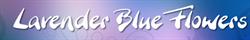 Lavender Blue, Bridport opening hours