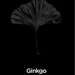 Ginkgo Hair, Brighton opening hours