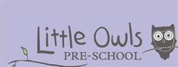 Little Owls Pre-School, Mannamead opening hours