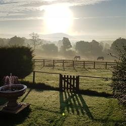 Whitwell Farm Self Catering Cottages, Colyford opening hours
