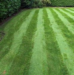 Go Green Lawn Care, Crewe opening hours