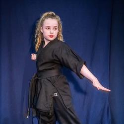Sheffield Dragons College Of Martial Arts, opening hours