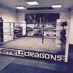 Sheffield Dragons College Of Martial Arts, opening hours
