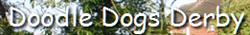Doodle Dogs Derby, Stenson opening hours