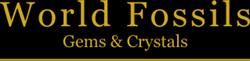 John Morris World Fossils Gems & Crystals, Bristol opening hours