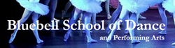 The Bluebell School of Dance & Performing Arts, Chatham opening hours