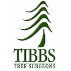 Tibbs Tree Surgeons in Radstock (Chilcompton) - Opening Hours