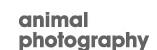 Animal Photography, London opening hours