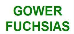 Gower Fuchsias, Penclawdd opening hours