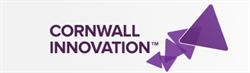 Cornwall Innovation Pool, opening hours