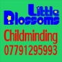 Little Blossoms Childminders Watford, opening hours