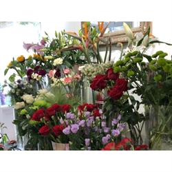 Betts & Twine Bespoke Florist in London (Greenwich) - Opening Hours