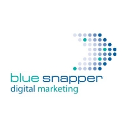 Blue Snapper Digital Marketing, Oxford opening hours