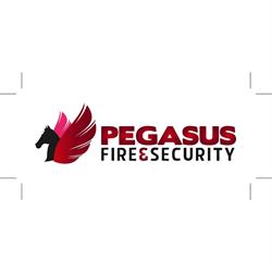 Pegasus Fire & Security Ltd, Stoke-on-Trent opening hours