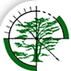 Cedarwood Tree Care Ltd, Wormbridge opening hours