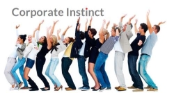 Corporate Instinct Limited, Barry opening hours