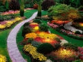 Adrians Gardening Services, Lindsell opening hours