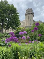 The Mill Garden Trust, Warwick opening hours