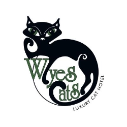 Wyes Cats Boarding Cattery, St Arvans opening hours