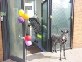 Zeeba Day Care in London (Hackney) - Opening Hours