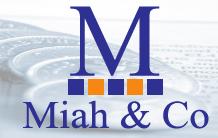 Miah & Co Chartered Certified Accountants, Newcastle Upon Tyne opening hours