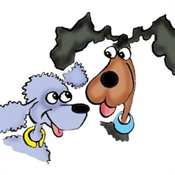 Best Pals Dog Training Club, Belbroughton opening hours
