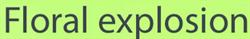 Floral Explosion, Longfield opening hours